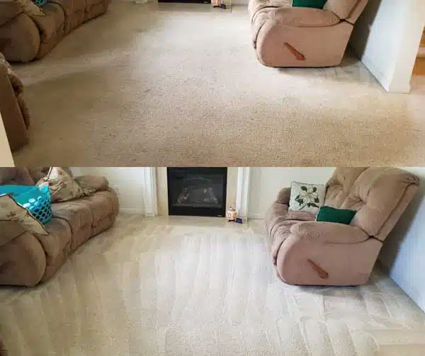 Carpet Cleaning Services