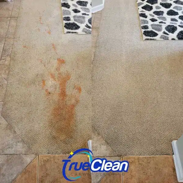 Rug Cleaning in Charlotte