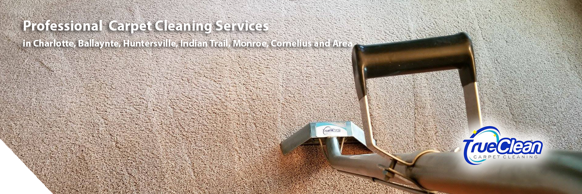 Carpet Cleaning Services