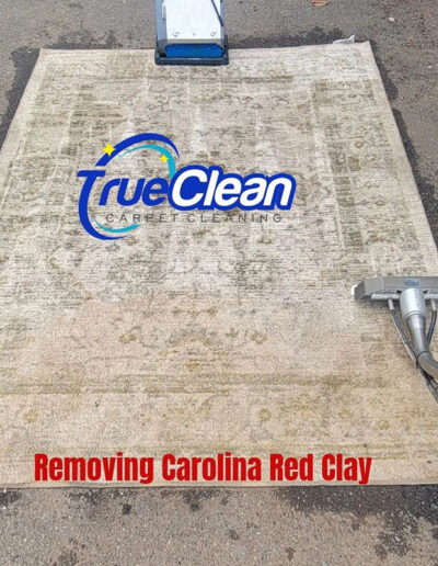 Oriental Rug Cleaning Services