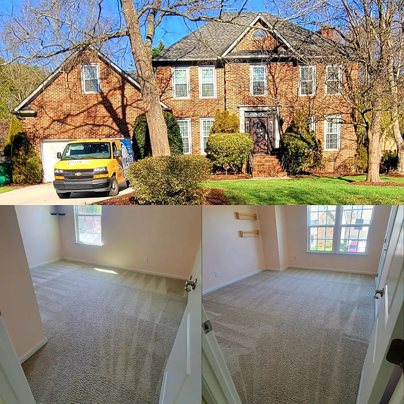 True Clean Carpet Cleaning