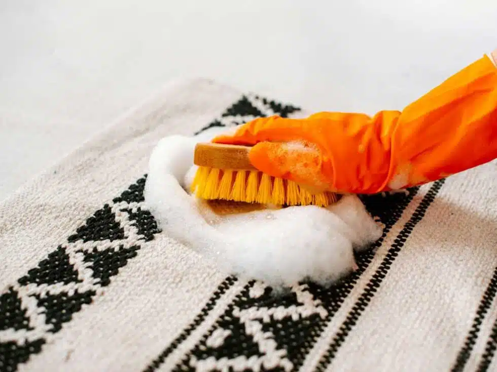Best Practices for Removing Pet Odors From Your Home