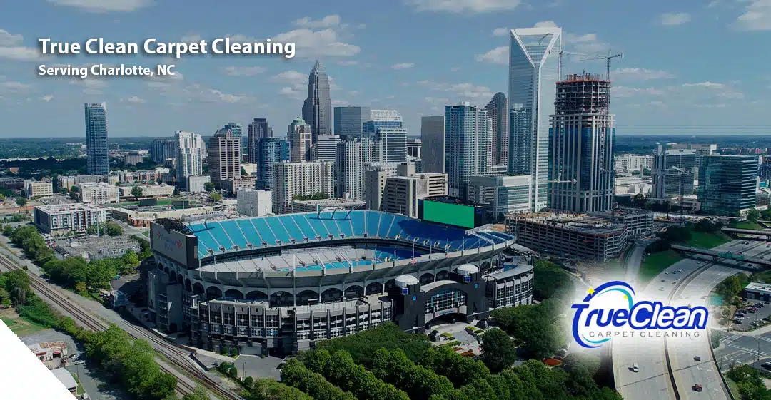 Carpet Cleaning Services in Charlotte, NC