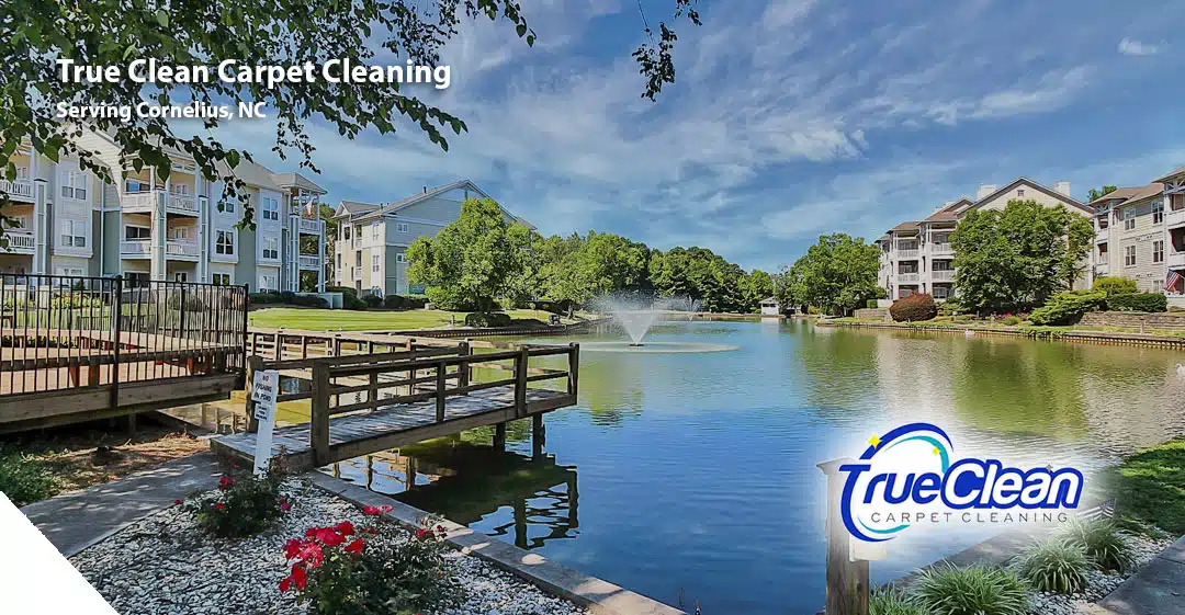 Carpet and Area Rug Cleaning in Cornelius, NC