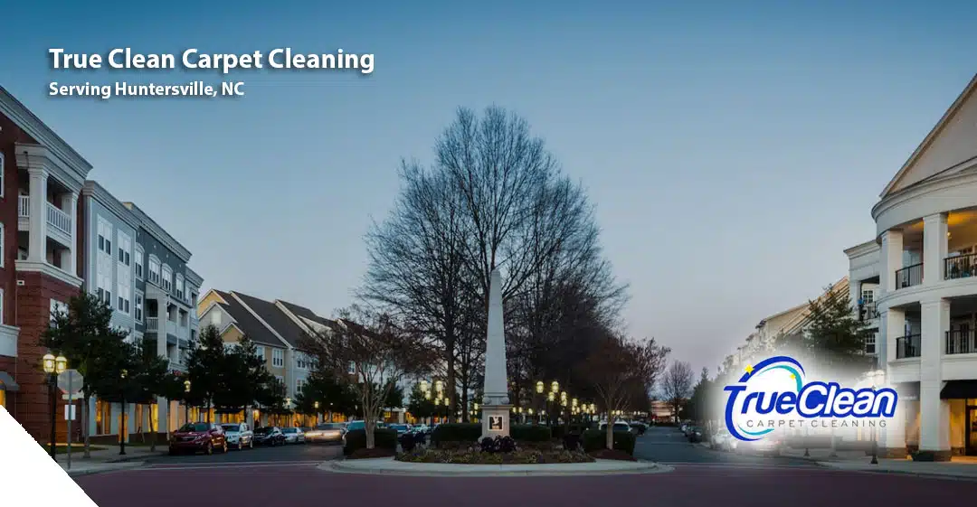 Carpet and Oriental Rug Cleaning in Huntersville, NC