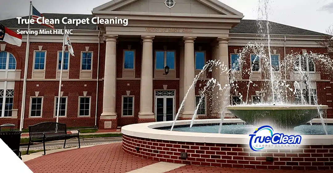 Carpet and Tile Cleaning Services in Mint Hill, NC