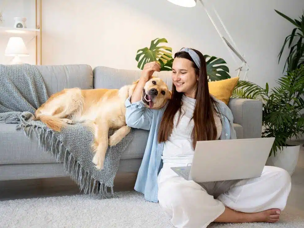The Science of Pet Odor Removal: A Comprehensive Guide