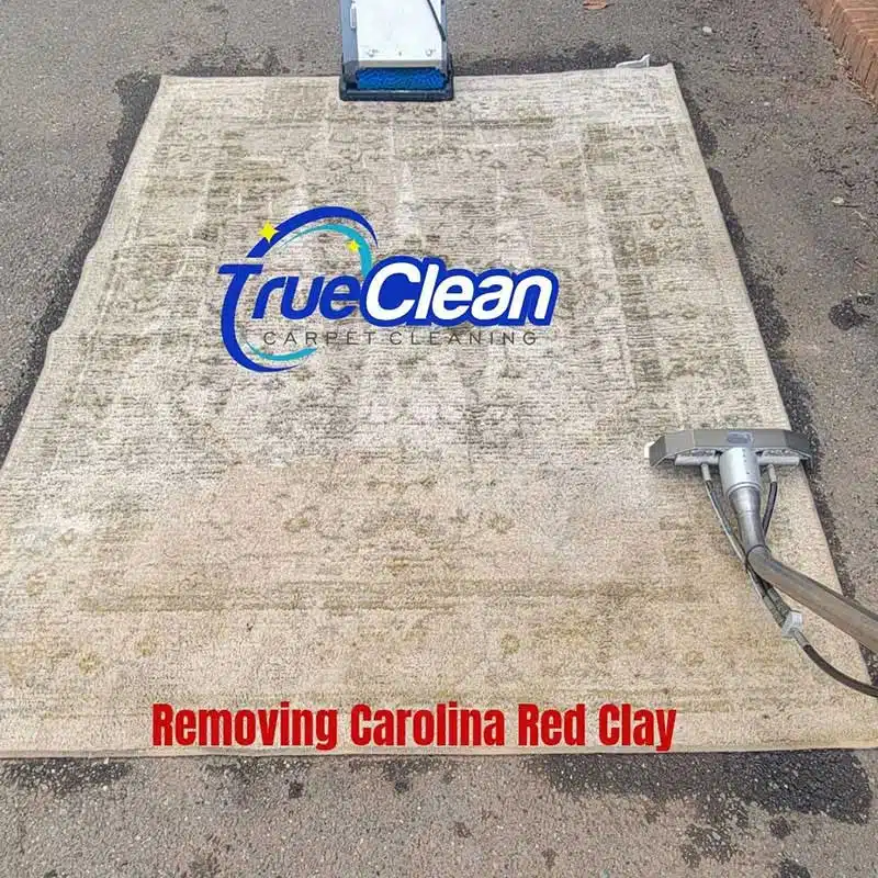 Why is Professional Oriental Rug Cleaning Important?