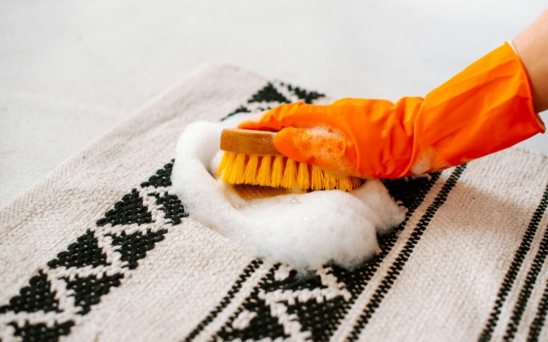 Best Practices for Removing Pet Odors From Your Home